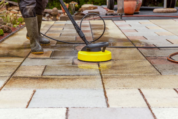 Animal Enclosure Cleaning in Montura, FL
